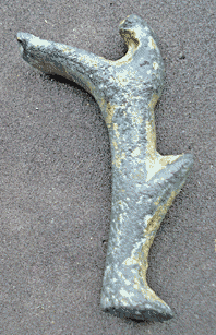 leg