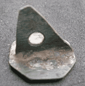 seal_1