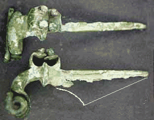 Birdlip Fibula